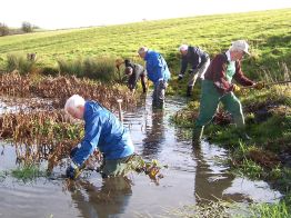Cotswold Voluntary Wardens Pond Clearance at Hawling. Cotswolds Conservation Board